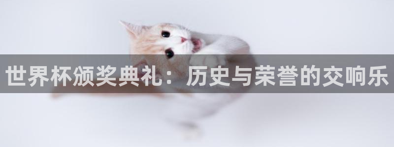 男足世界杯预选赛赛程:世界杯颁奖典礼:历史与荣誉的交响乐