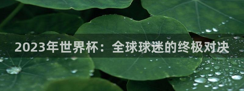 世界杯直播高清:2023年世界杯:全球球迷的终极对决