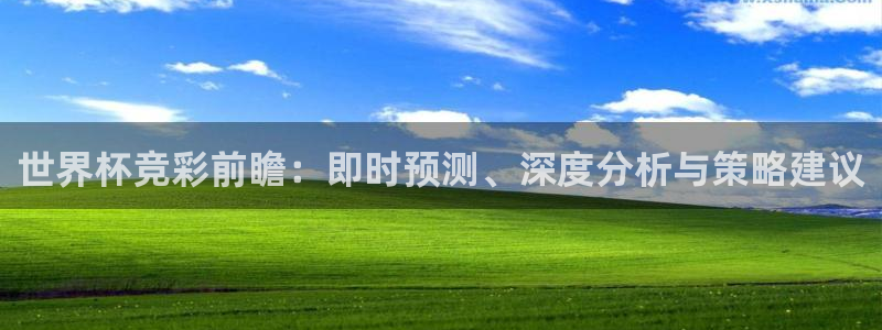 世界杯时间:世界杯竞彩前瞻:即时预测、深度分析与策略建议