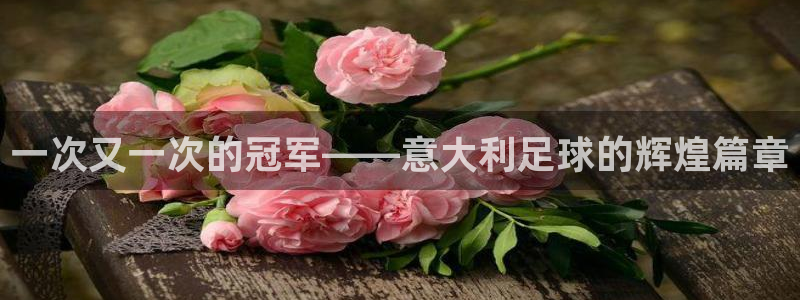 世界杯预选赛2026:一次又一次的冠军——意大利足球的辉煌篇章