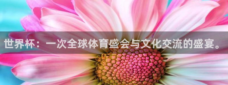 足球世界杯时间:世界杯:一次全球体育盛会与文化交流的盛宴。