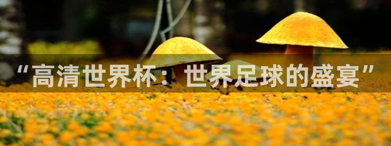 欧联杯直播:“高清世界杯:世界足球的盛宴”